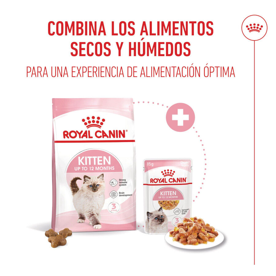 Royal Canin Kitten comida húmeda en gelatina sobre para gatitos thumbnail