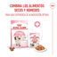 85 g Royal Canin Kitten comida húmeda en gelatina sobre para gatitos, , large indicador imagen numero 5