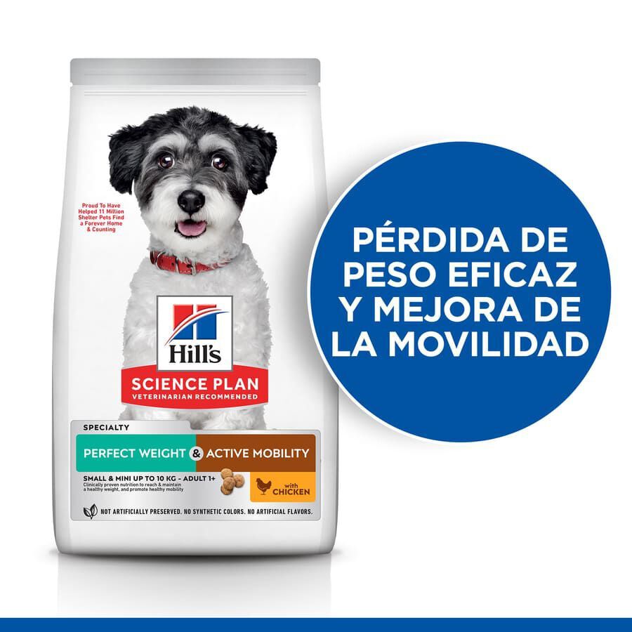 Hill&#039;s Science Plan Perfect Weight y Active Mobility Small y Mini Pollo pienso para perros thumbnail