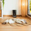Cecotec Pumba 6000 Purrfect Meal Smart Comedero Automático para perros y gatos, , large indicador imagen numero 10