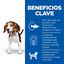 370 g Hill's Science Plan Puppy pollo lata para perros, , large indicador imagen numero 3