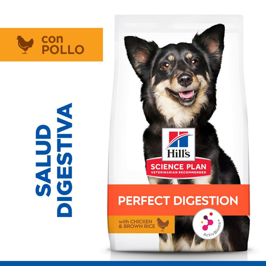 6 kg Hill's Science Plan Perfect Digestion Small y Mini Adult Pollo ...