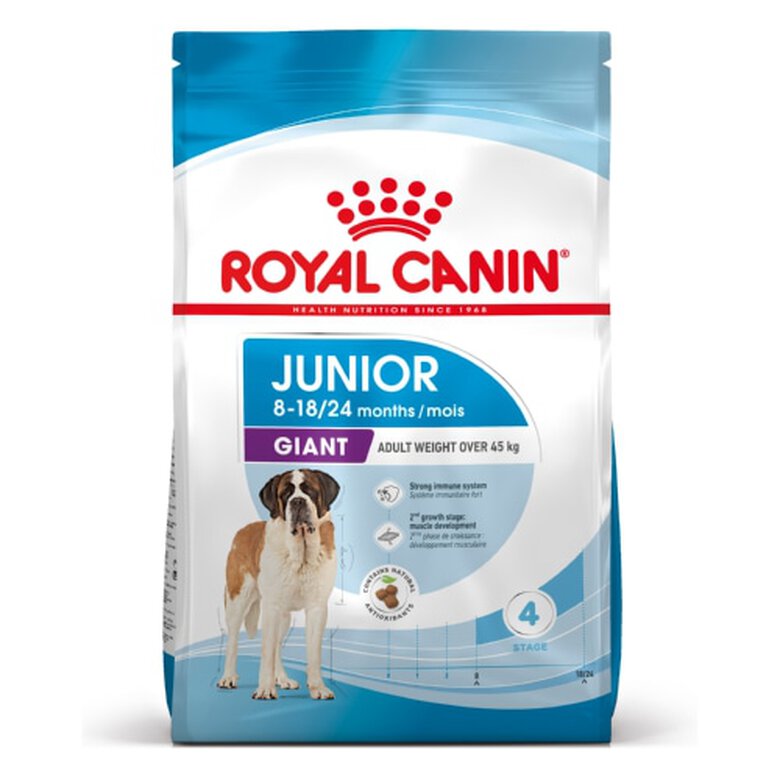 Royal Canin Junior Giant pienso para perros, , large image number null