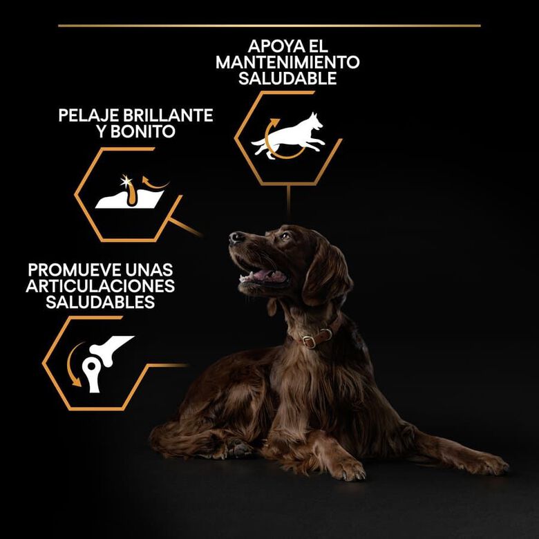 Pro Plan Large Athletic Adult Pollo pienso para perros thumbnail