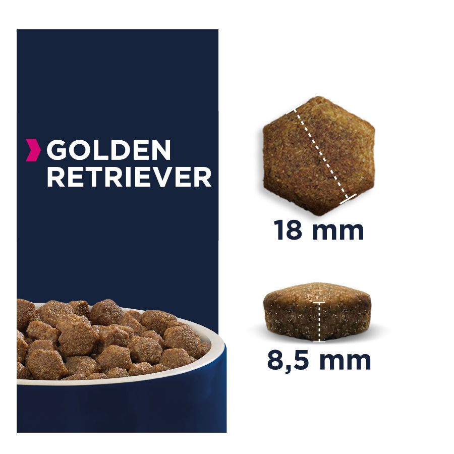 Eukanuba Adult Golden Retrievers pienso para perros thumbnail