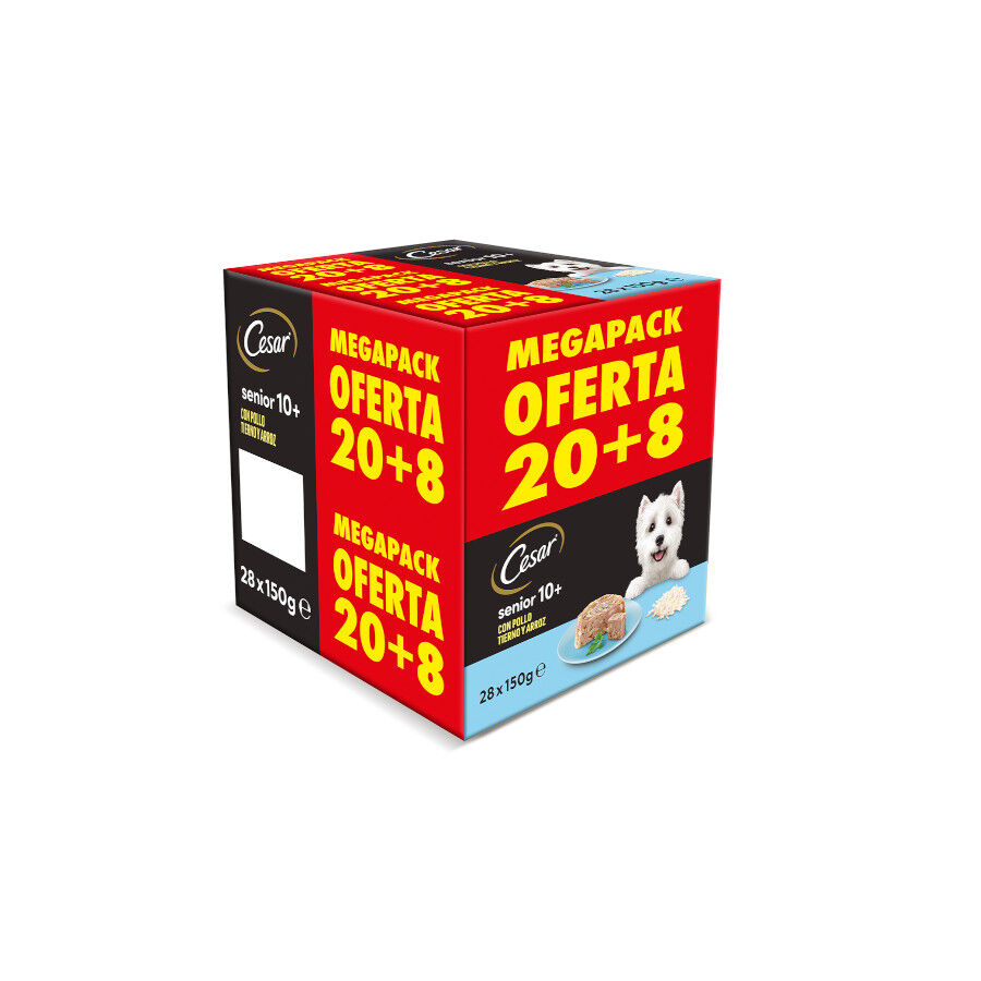 28 tarrinas x 150 g (20 + 8 tarrinas &iexcl;gratis!) Cesar Pollo y Arroz Tarrina en Gelatina para Perros Senior, , large Imagen numero 1