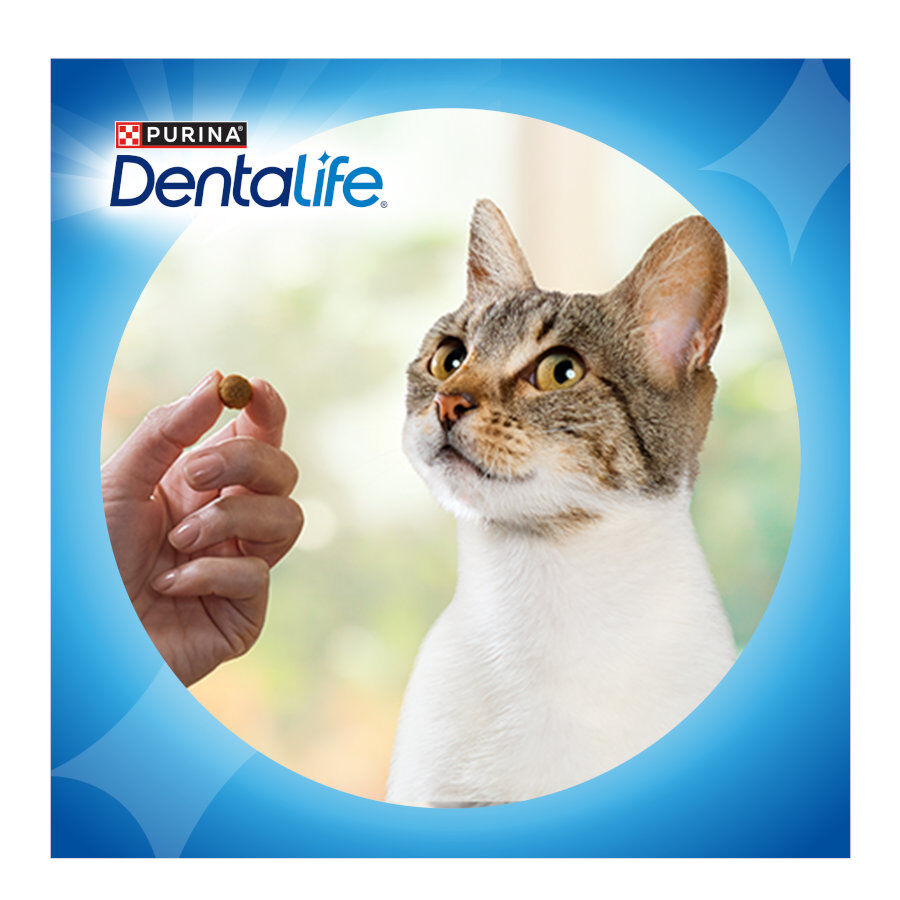 Dentalife Daily Oral Salmón Snacks Dentales para gatos thumbnail