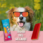 2&Snacks Helado de Salchicha y Queso para perros, , large image number null