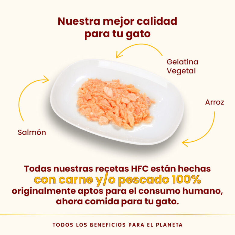 70 g Almo Nature HFC Jelly Salmón en gelatina lata para gatos,  Imagen numero 3 70 g Almo Nature HFC Jelly Salmón en gelatina lata para gatos, , large Imagen numero 3