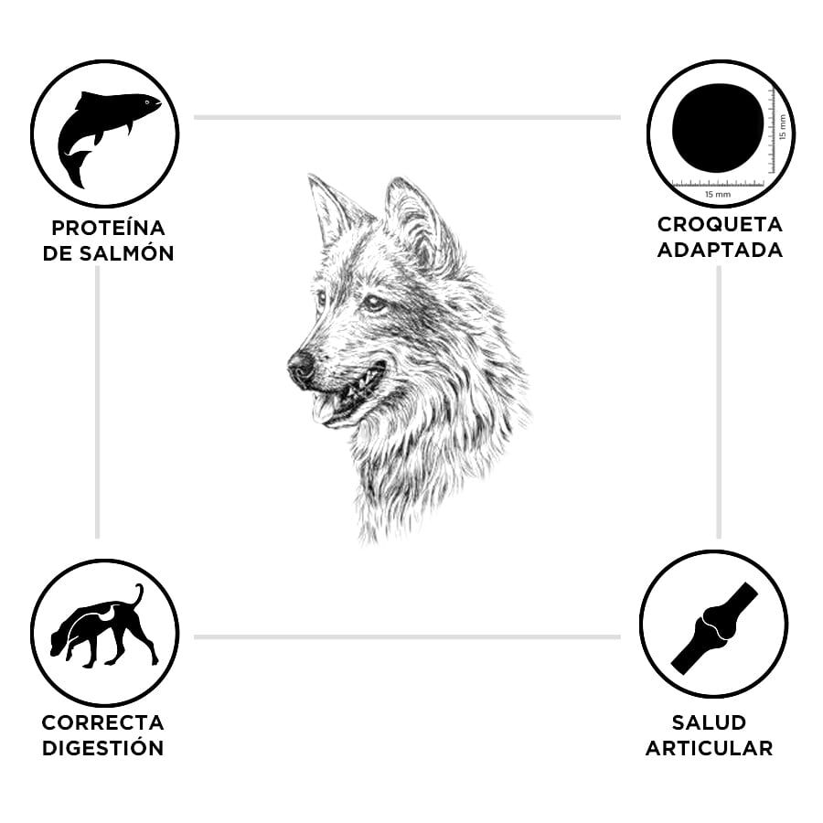 Criadores Adulto Salmón y Arroz pienso para perros de razas medianas y grandes thumbnail