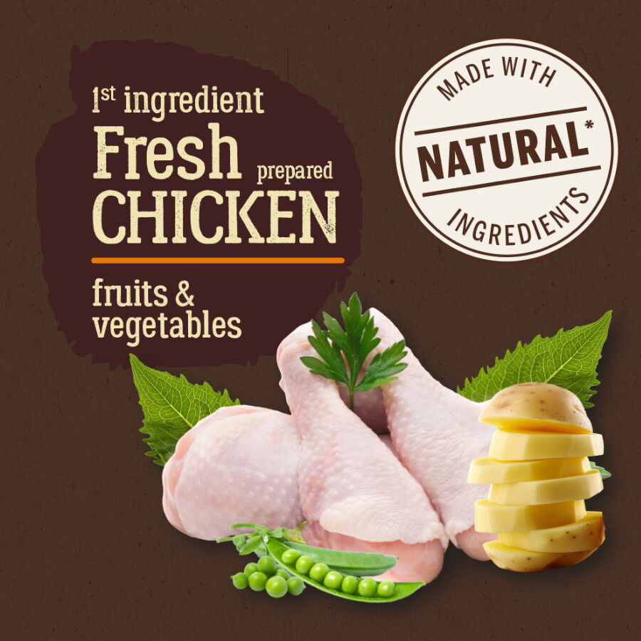 True Origins Pure Mini Adult Pollo pienso para perros thumbnail