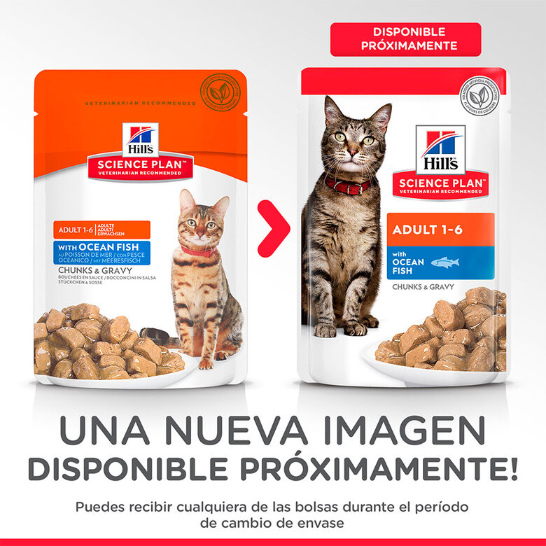 Hill&#039;s Science Plan Adult Pescado sobre para gatos thumbnail