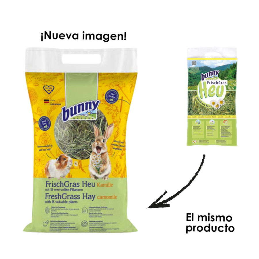 Bunny FrischGras Heno con Camomila para roedores, , large Imagen numero 2