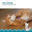 Outward Hound Catstages Chew Ratón con Catnip para gatos, , large indicador imagen numero 3