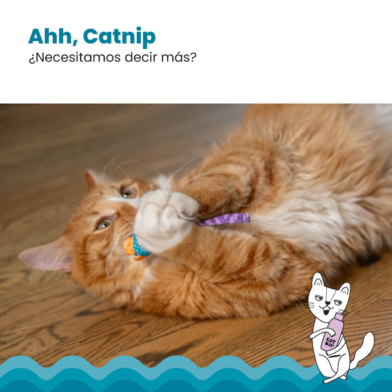 Catstages Chew Ratón con Catnip para gatos,  Imagen numero 3 Catstages Chew Ratón con Catnip para gatos, , large Imagen numero 3