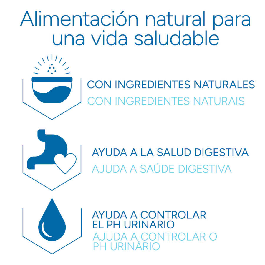 Criadores Científico Adulto Pollo pienso para gatos thumbnail