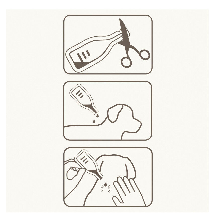 Beaphar Caniguard Duo Pipetas Antiparasitarias para perros pequeños thumbnail