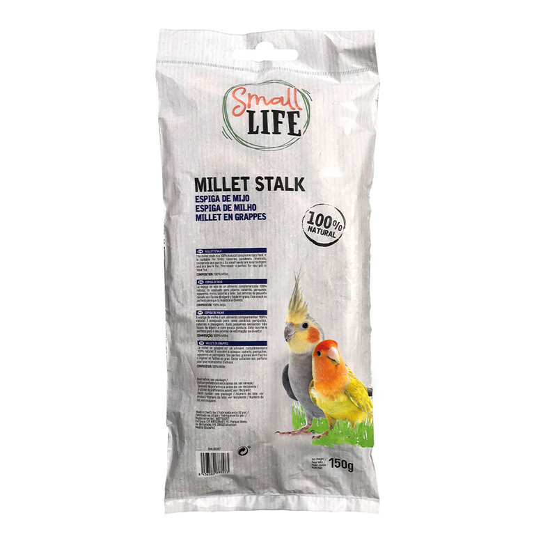 comida_pajaros_small_life_espiga_mijo_back_SML88357.jpg Imagen numero 2 comida_pajaros_small_life_espiga_mijo_back_SML88357.jpg Imagen numero 2