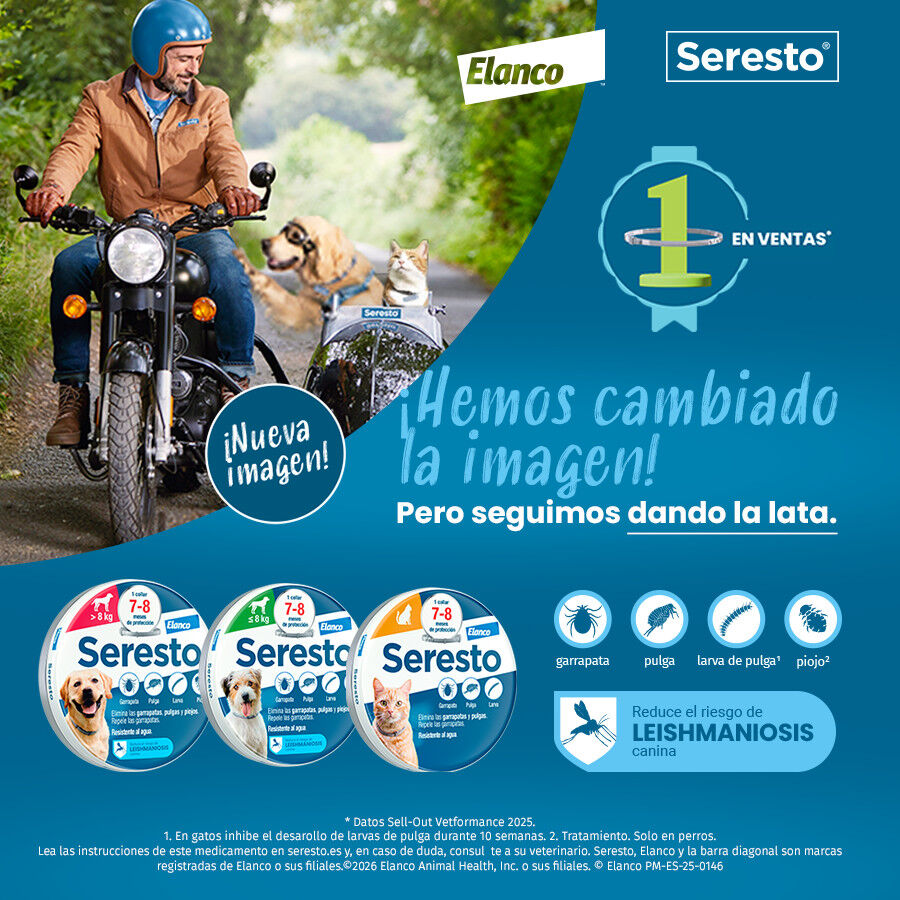 1 collar >8 kg Seresto Collar Antiparasitario para perros, , large Imagen numero 2