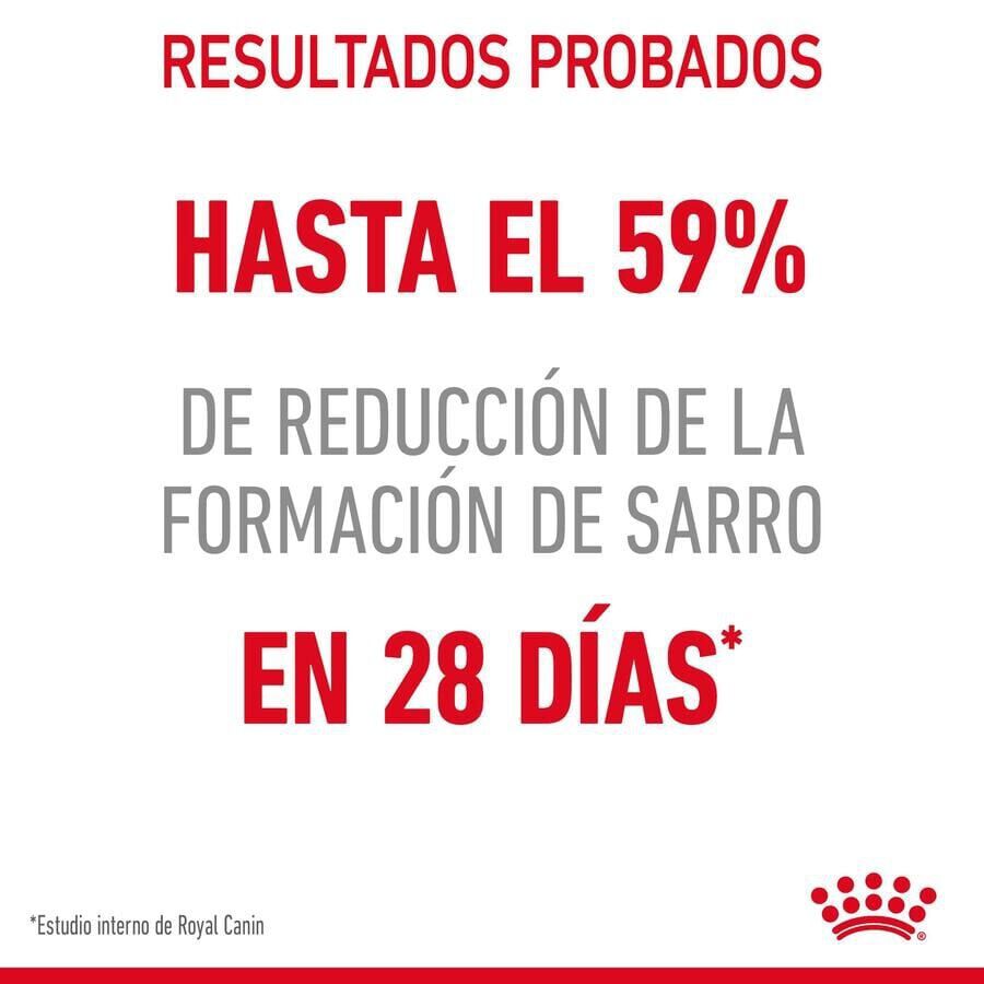 Royal Canin Adult Oral pienso para gatos thumbnail