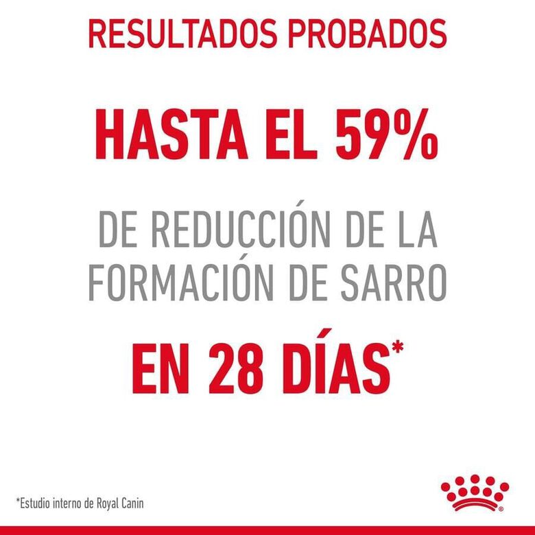Royal Canin Adult Oral pienso para gatos thumbnail