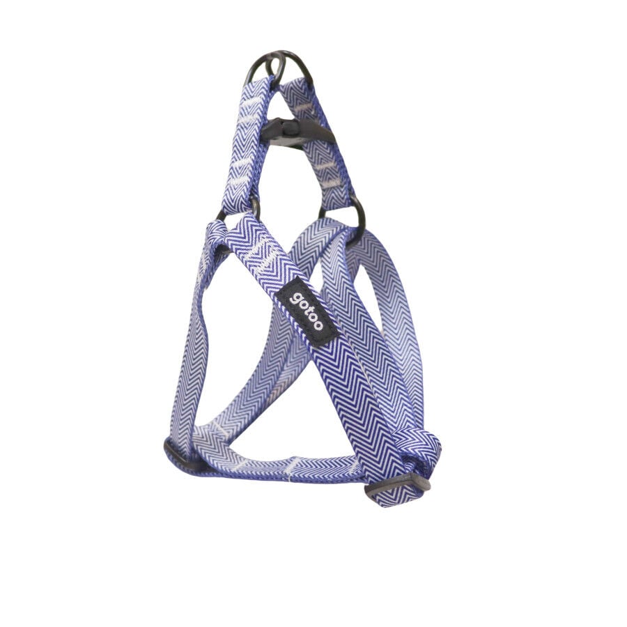 Gotoo Arn&eacute;s estampado rayas azules para perros, , large Imagen numero 1