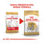 12 kg Royal Canin Adult Dálmata pienso para perros, , large indicador imagen numero 3