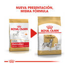 Royal Canin Adult Dálmata pienso para perros, , large image number null
