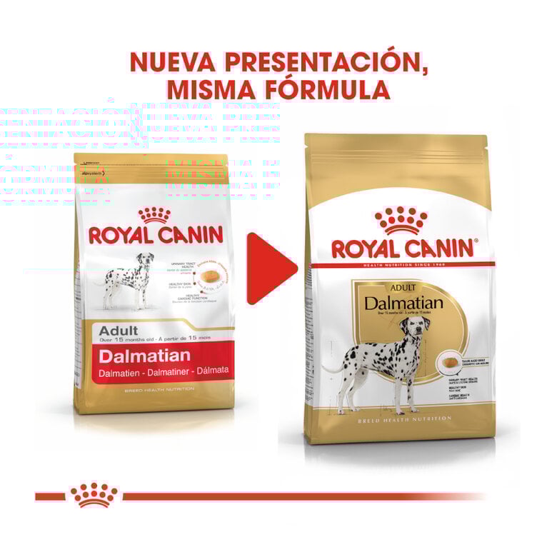 12 kg Royal Canin Adult Dálmata pienso para perros,  Imagen numero 3 12 kg Royal Canin Adult Dálmata pienso para perros, , large Imagen numero 3