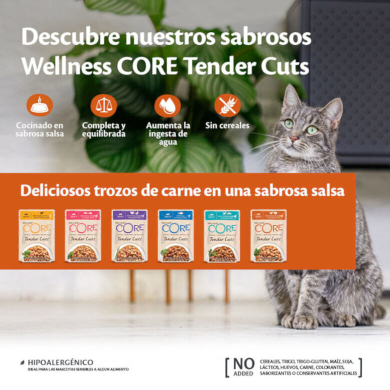 Wellness Core Tender Cuts salmón y atún sobre en salsa para gatos thumbnail