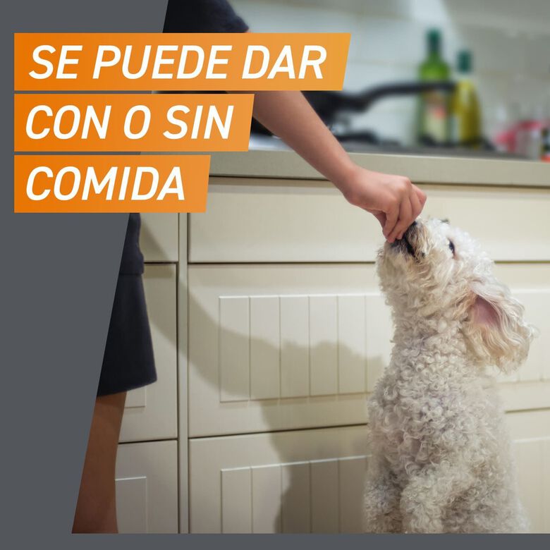 Frontpro Comprimidos Masticables Antiparasitario para perros thumbnail