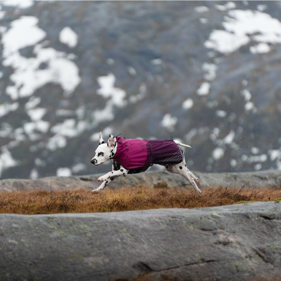 Non-stop dogwear Fjord Chubasquero Impermeable Púrpura para perros thumbnail