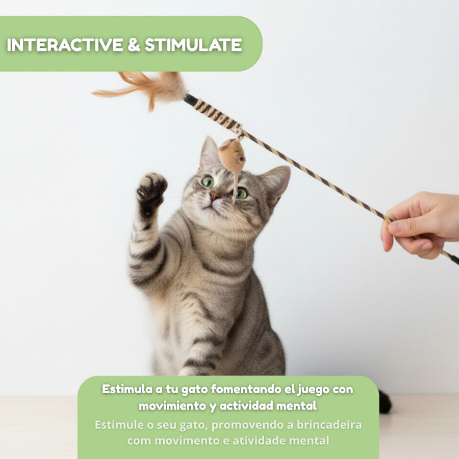 Tootoy! Caña Interactiva con Plumas y Ratón Marrón para gatos thumbnail