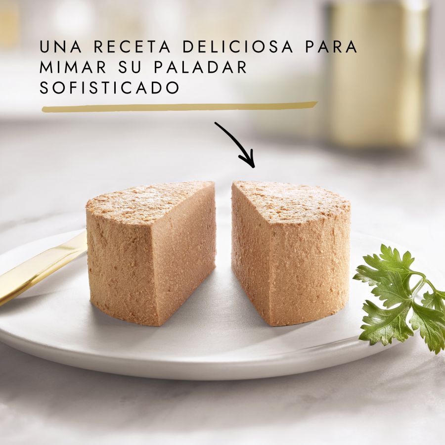 Gourmet Gold Mousse Sabores Variados thumbnail