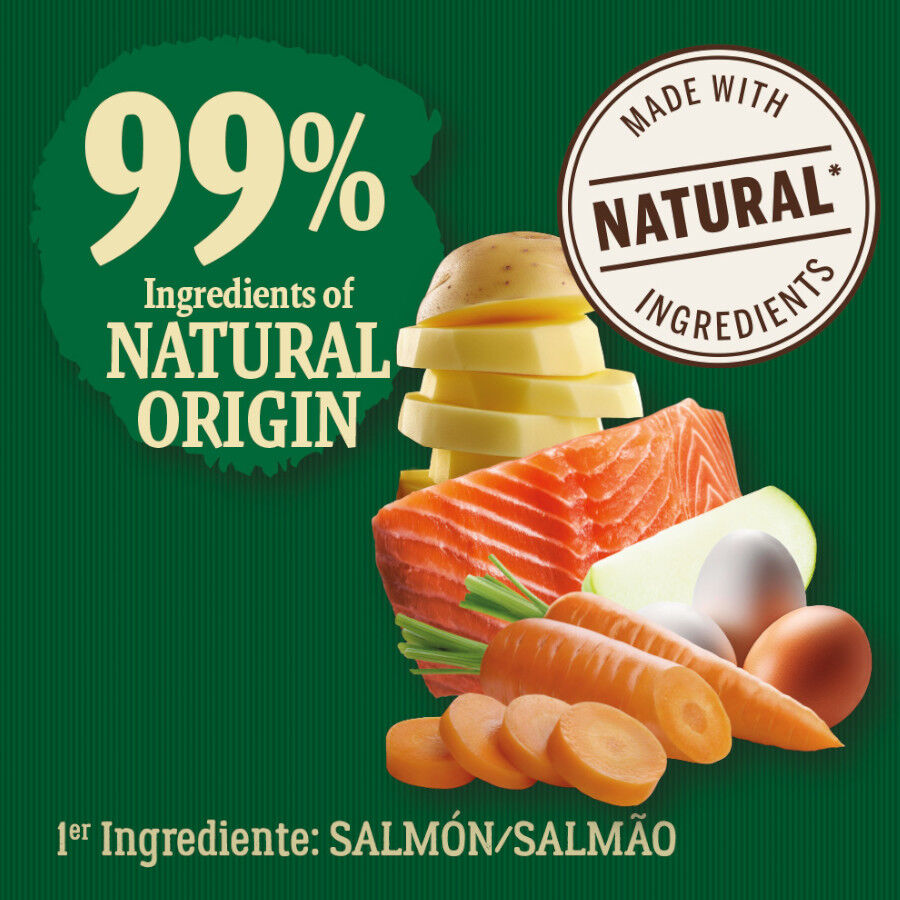 6 kg True Origins Wild Adult Pacific Salm&oacute;n pienso para gatos, , large Imagen numero 3