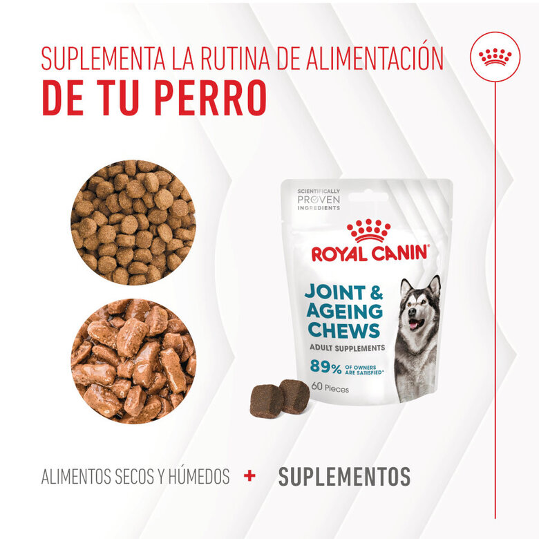 240 g Royal Canin Joint & Ageing Chews Suplemento Nutricional para perros con sensibilidad articular,  Imagen numero 9 240 g Royal Canin Joint & Ageing Chews Suplemento Nutricional para perros con sensibilidad articular, , large Imagen numero 9