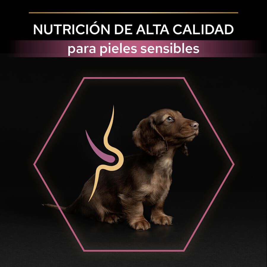3 kg Pro Plan Puppy Small y Mini Salm&oacute;n pienso para Perros Piel, , large Imagen numero 8