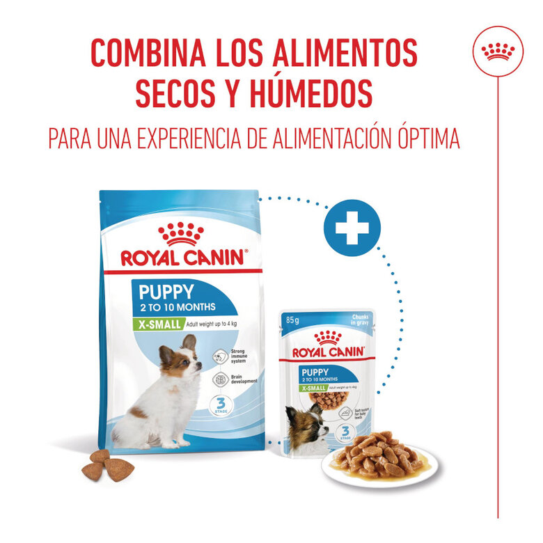 3 kg Royal Canin X-Small Puppy pienso para perros,  Imagen numero 6 3 kg Royal Canin X-Small Puppy pienso para perros, , large Imagen numero 6