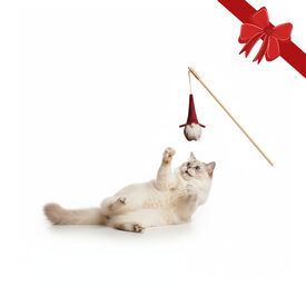 Wonder Christmas Juguete de Caña Santa Navideño para gatos,  Wonder Christmas Juguete de Caña Santa Navideño para gatos