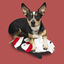 Wonder Christmas Pingüino Interactivo Alfombra Olfativa para perros, , large indicador imagen numero 3