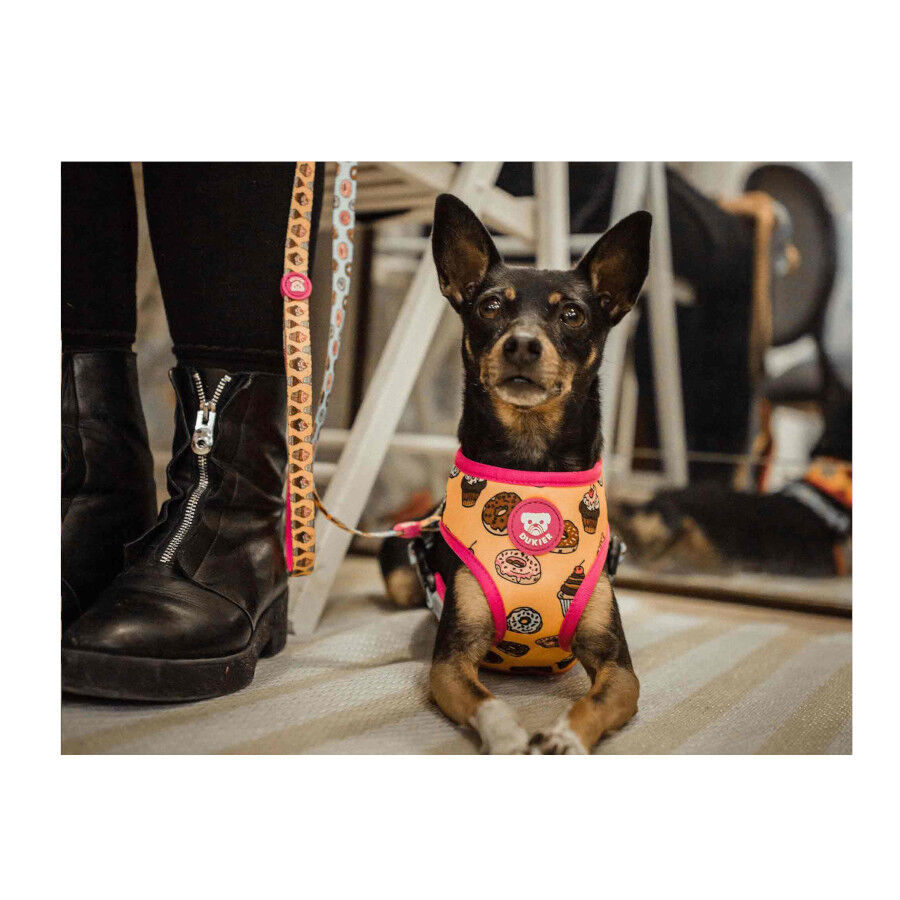 Dukier Arn&eacute;s Reversible Estampado Donuts para perros, , large Imagen numero 3