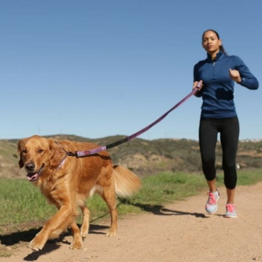 Halti correa de canicross acolchada morada para perros, , large Imagen numero 2