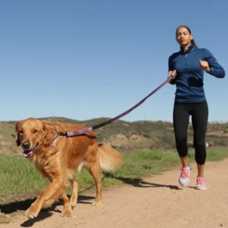 Halti correa de canicross acolchada morada para perros,  Imagen numero 2 Halti correa de canicross acolchada morada para perros, , large Imagen numero 2
