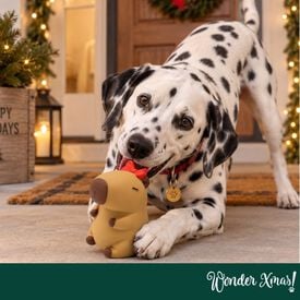 Wonder Christmas Capibara L&aacute;tex Peluche para perros