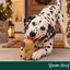Wonder Christmas Capibara L&aacute;tex Peluche para perros, , large indicador imagen numero 2