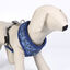 Disney Premium Stitch Arnés reversible para perros, , large indicador imagen numero 3