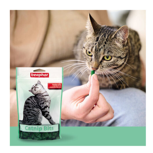 Beaphar Bocaditos con Catnip para gatos, , large image number null