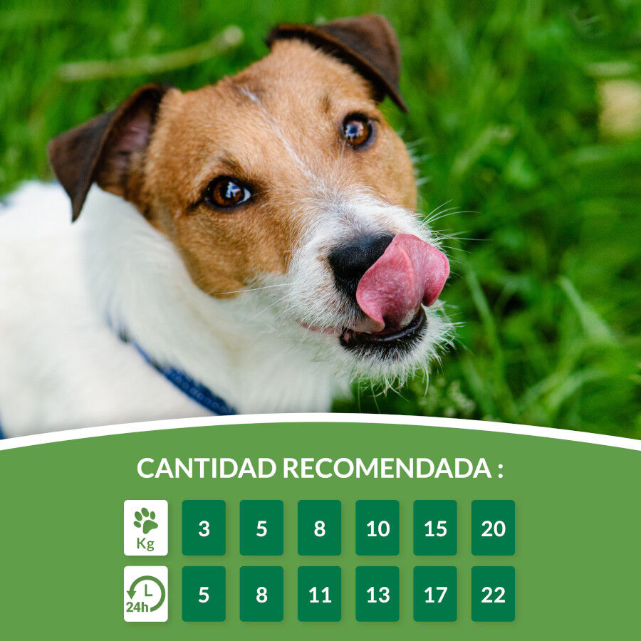 4 sobres x 14 g Churu Snack Cremoso Receta de Pollo con At&uacute;n para perros, , large Imagen numero 6