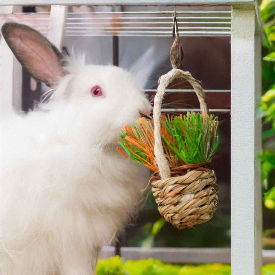 Quapas Basket Juguete para roedores, , large Imagen numero 2