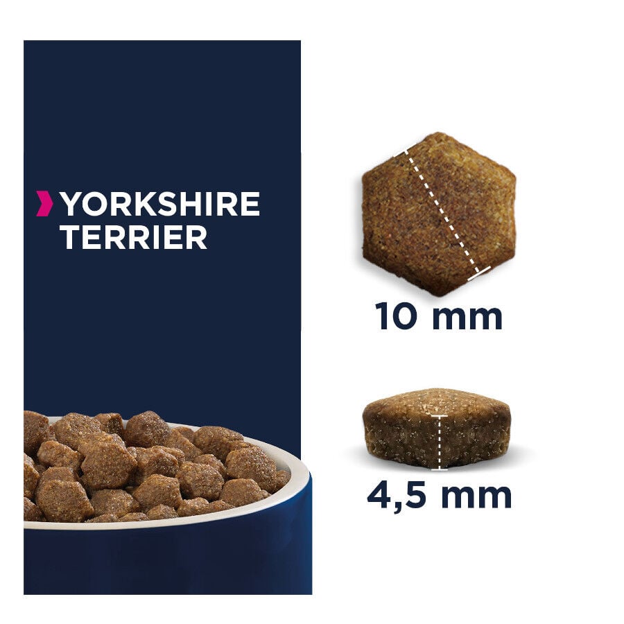 2 kg Eukanuba Adult Yorkshire Terrier pienso para perros, , large Imagen numero 2